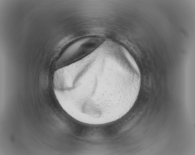 X0000110670203200907101113