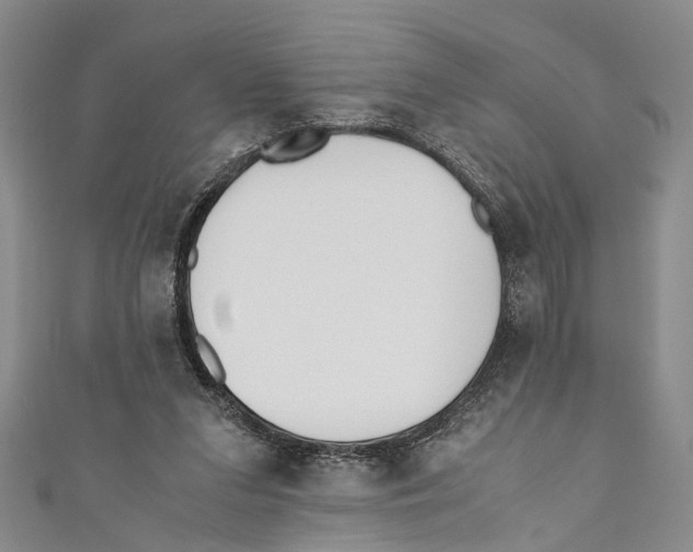 X0000110670207200907101113