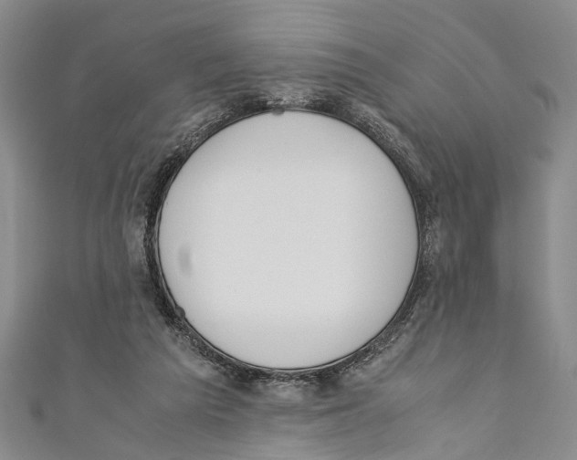 X0000110670209200907101113