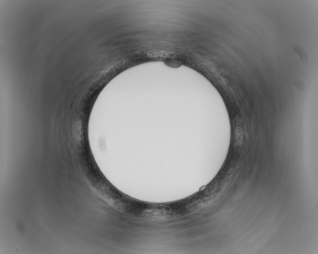 X0000110670211200907101113