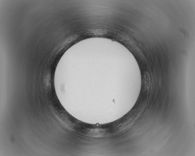 X0000110670212200907101113