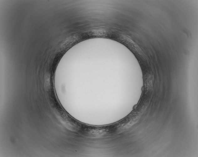 X0000110670213200907101113