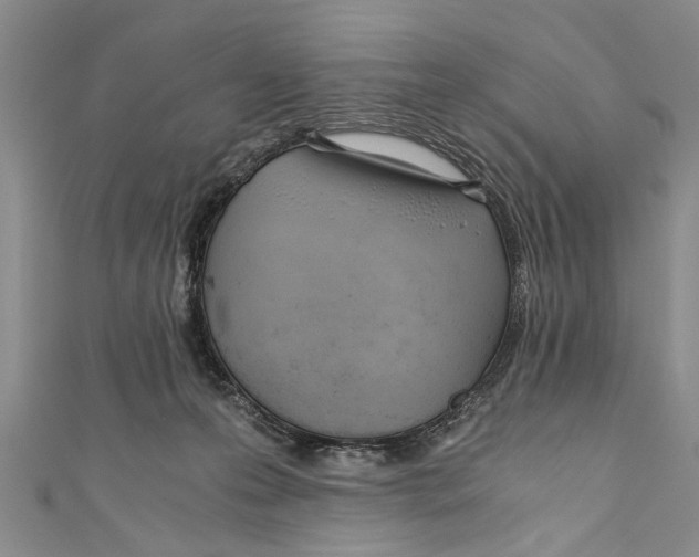 X0000110670223200907101113
