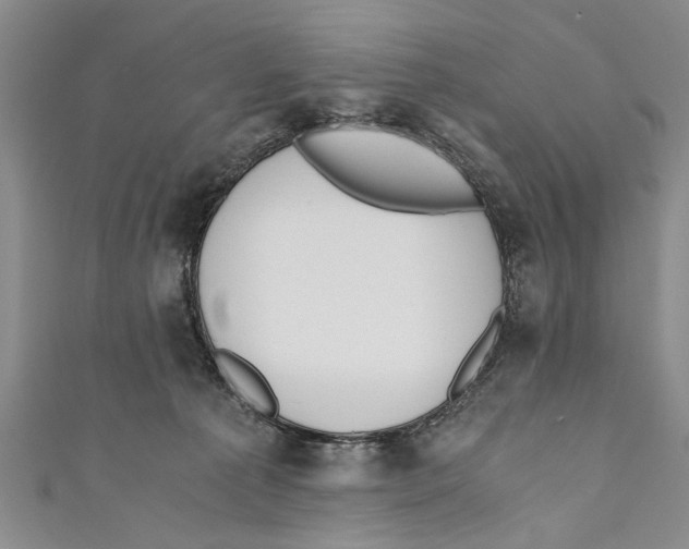 X0000110670225200907101113