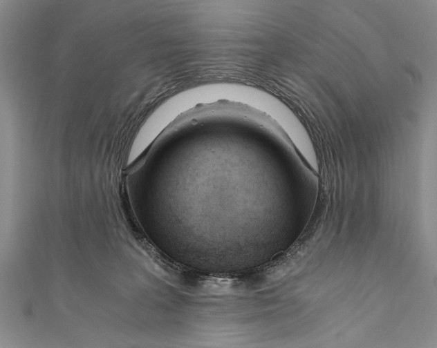 X0000110670227200907101113