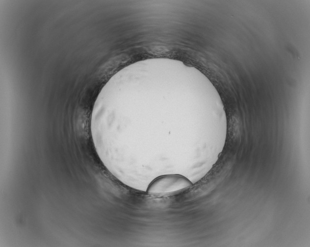 X0000110670234200907101113