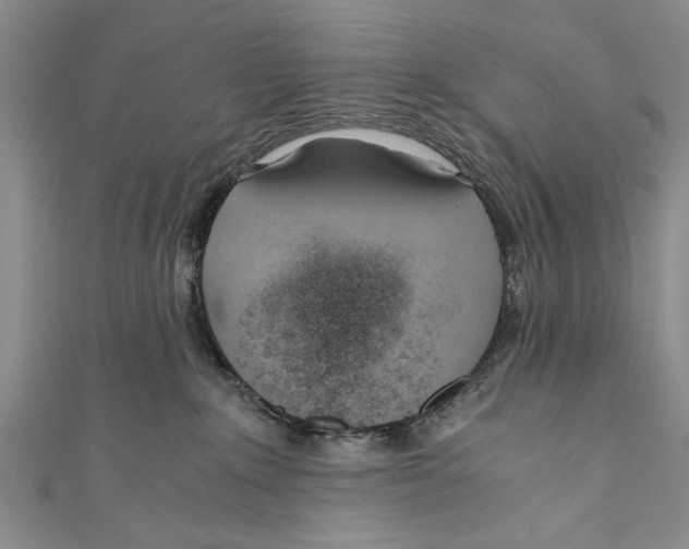 X0000110670235200907101113