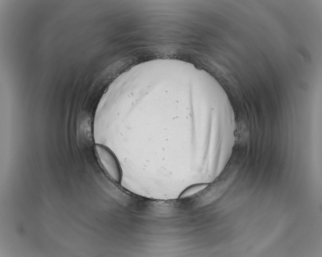 X0000110670238200907101113