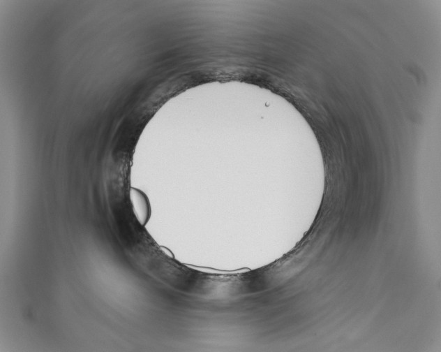 X0000110670240200907101113