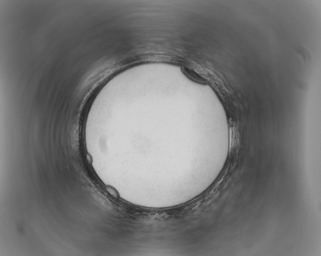 X0000110670243200907101112