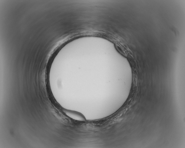 X0000110670244200907101112