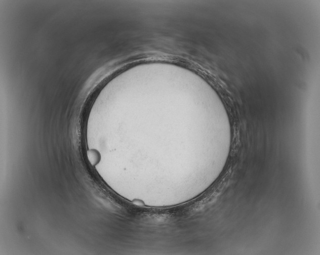 X0000110670247200907101112