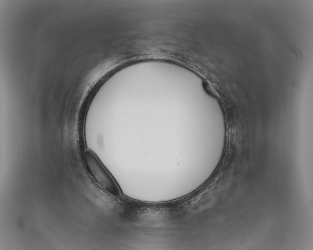 X0000110670248200907101112