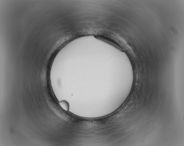X0000110670250200907101112
