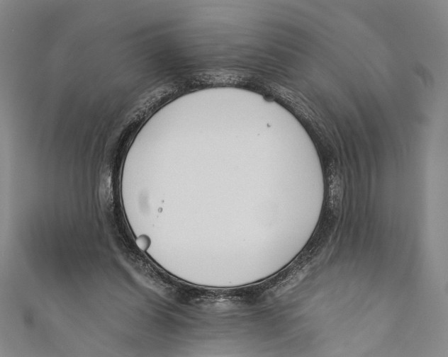 X0000110670254200907101112