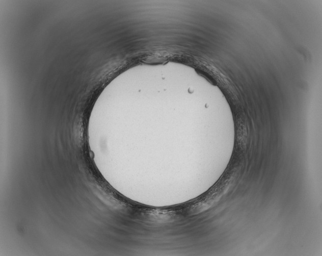 X0000110670261200907101112