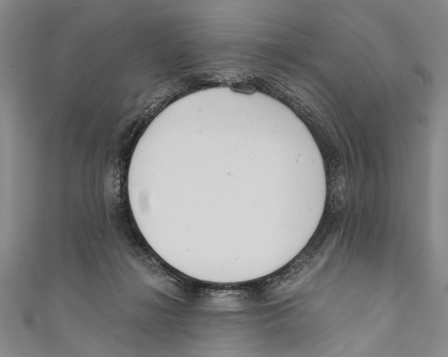 X0000110670268200907101113