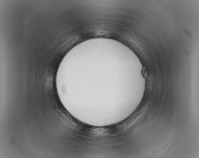 X0000110670269200907101113