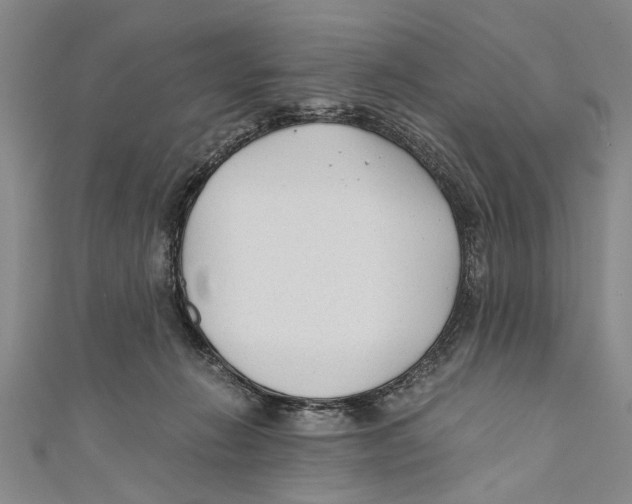 X0000110670270200907101113