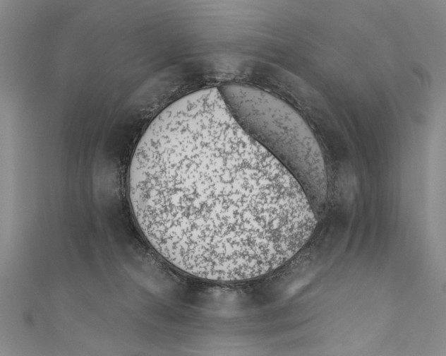 X0000110670272200907101113