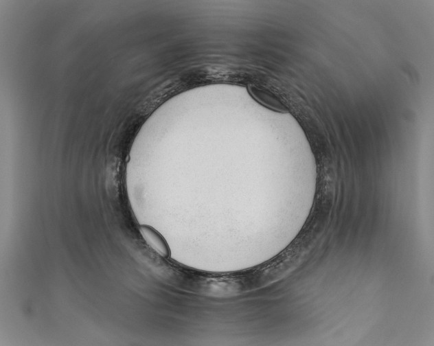 X0000110670275200907101113