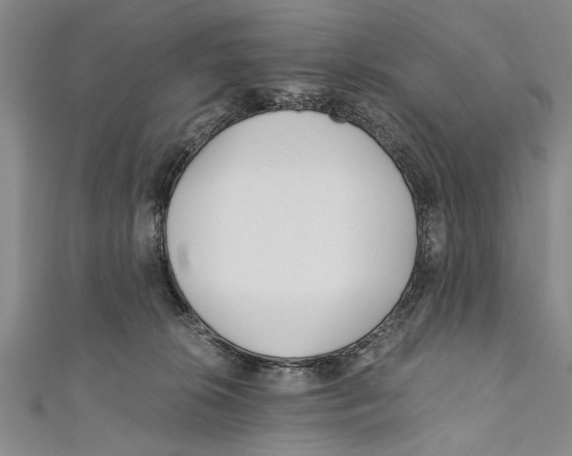 X0000110670276200907101113
