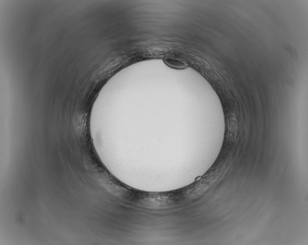 X0000110670278200907101113