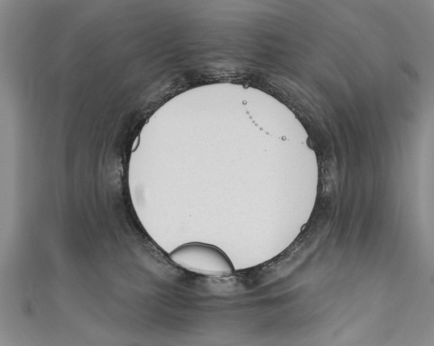 X0000110670279200907101113