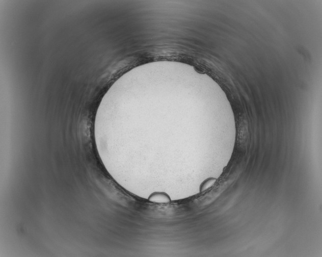 X0000110670282200907101113