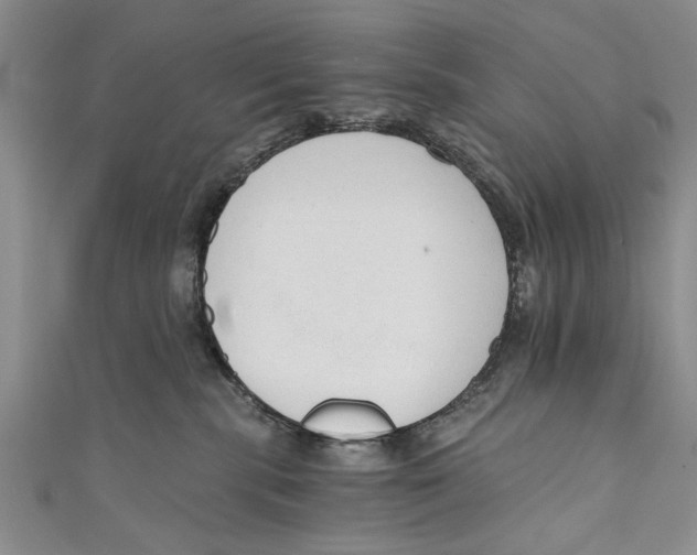 X0000110670283200907101113