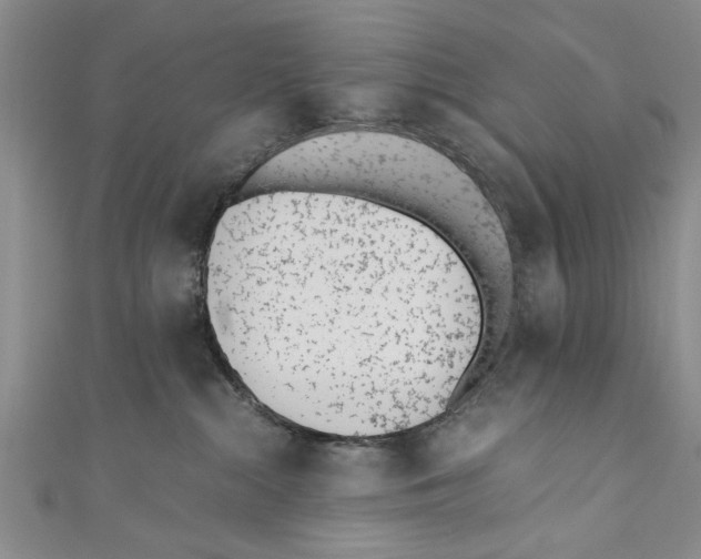 X0000110670284200907101113