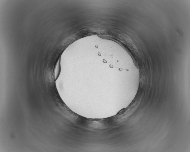 X0000110670285200907101113