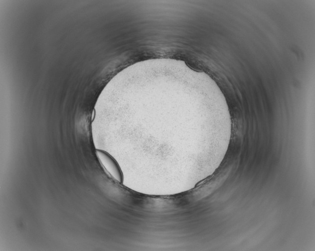 X0000110670286200907101113