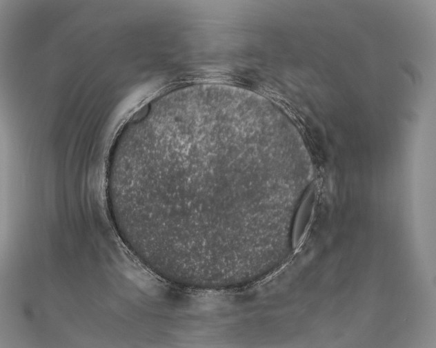 X0000110670293200907101112