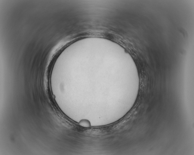 X0000110670294200907101112