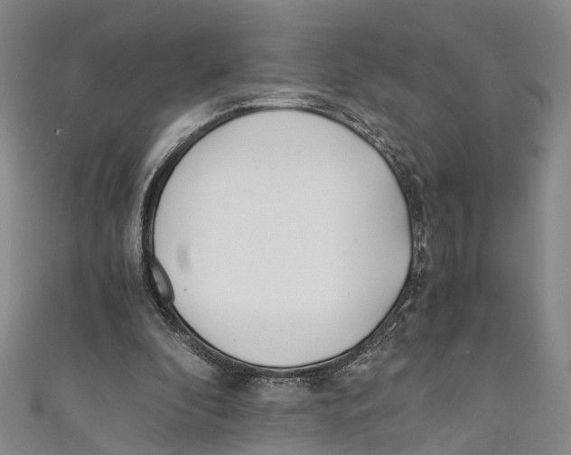 X0000110670296200907101112