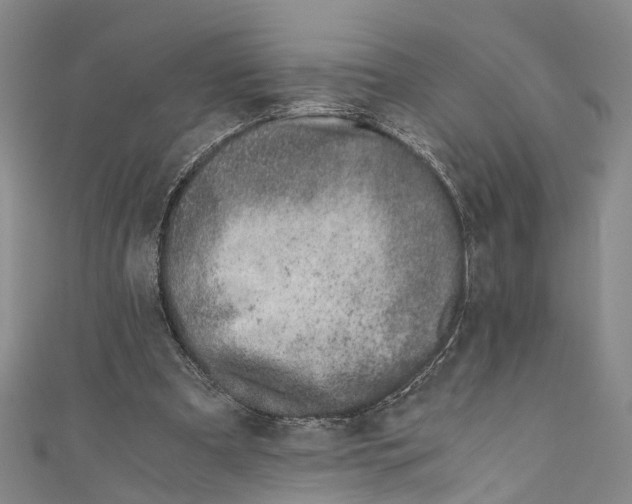 X0000110670297200907101112