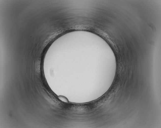 X0000110670299200907101112