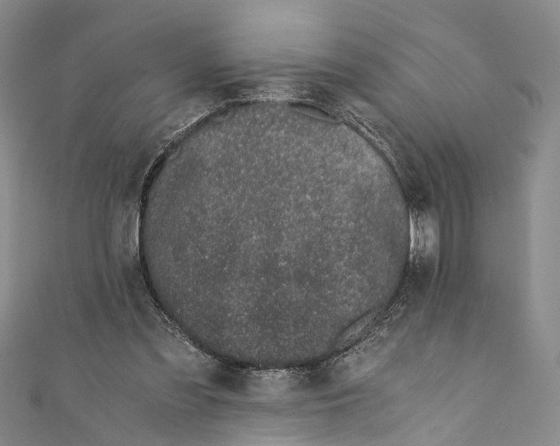 X0000110670301200907101112