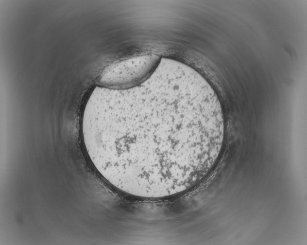 X0000110670305200907101112
