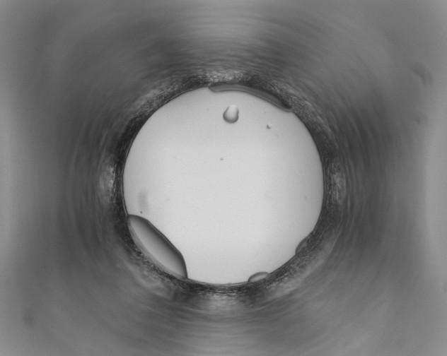 X0000110670308200907101112