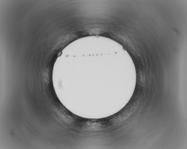 X0000110670311200907101112