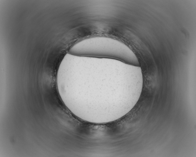 X0000110670324200907101112