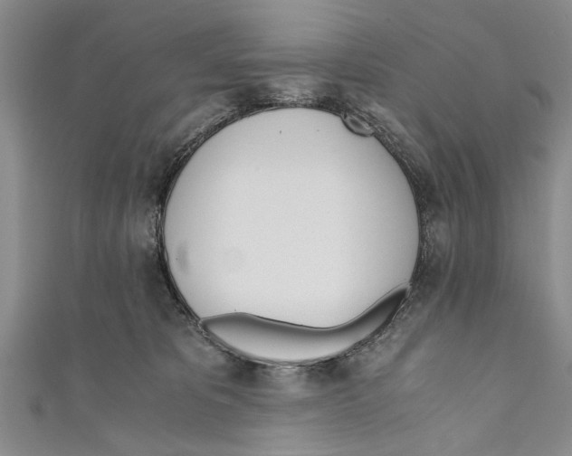 X0000110670325200907101112