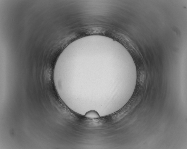 X0000110670326200907101111