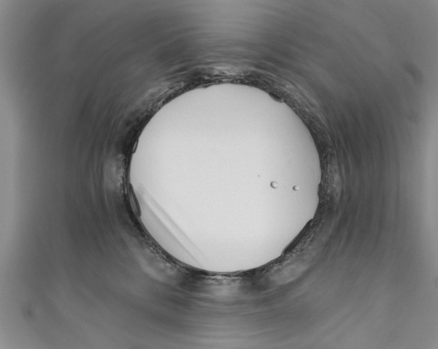X0000110670328200907101111