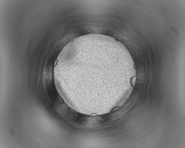 X0000110670334200907101111