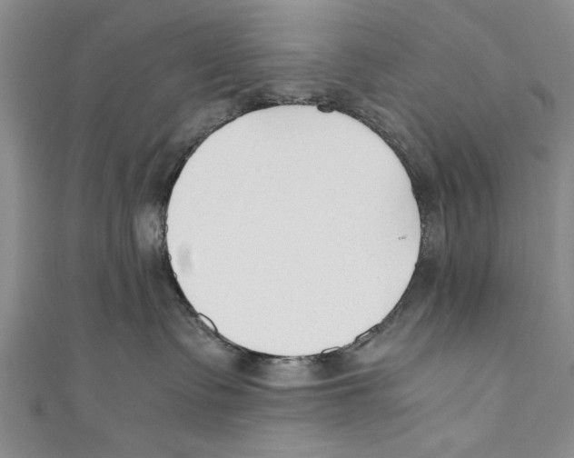 X0000110670335200907101111