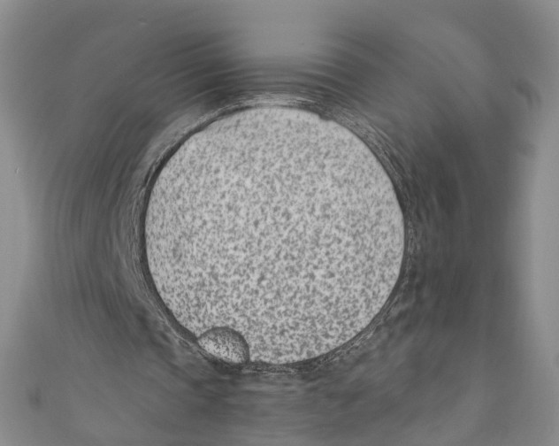 X0000110670337200907101111