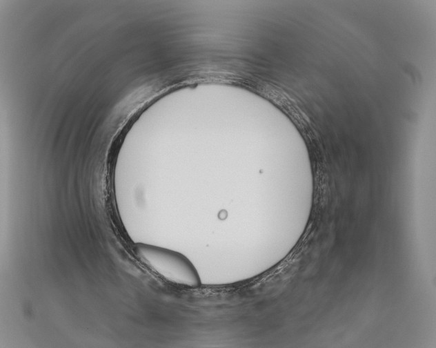 X0000110670338200907101111